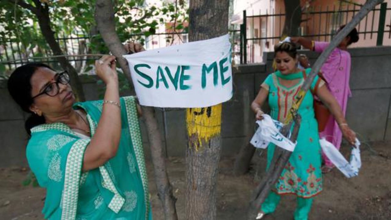 Usthadian Academy / The Chipko Movement: A 50-Year Legacy of Environmental Protection